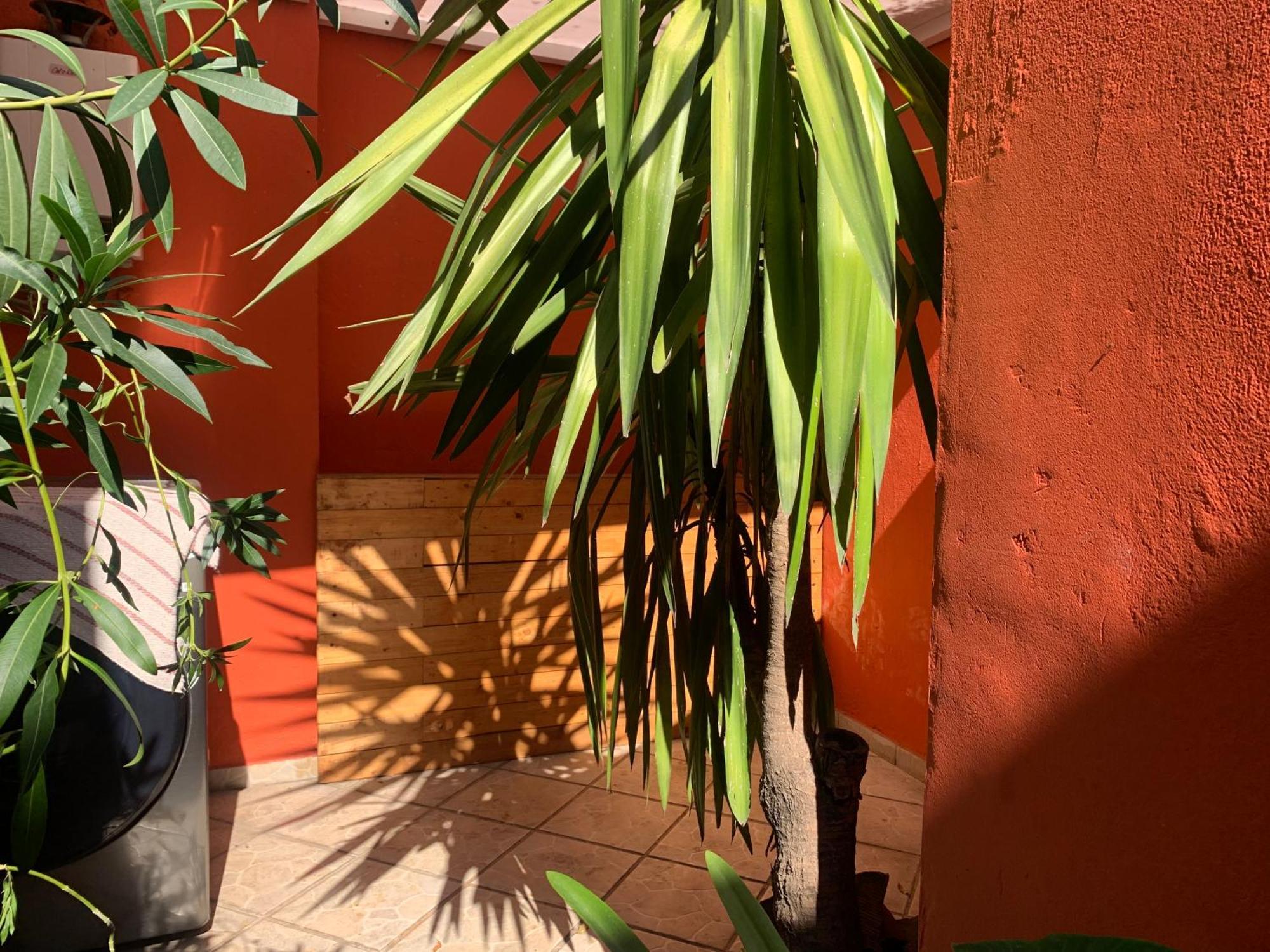 Villa Coyoacan México DF Exterior foto