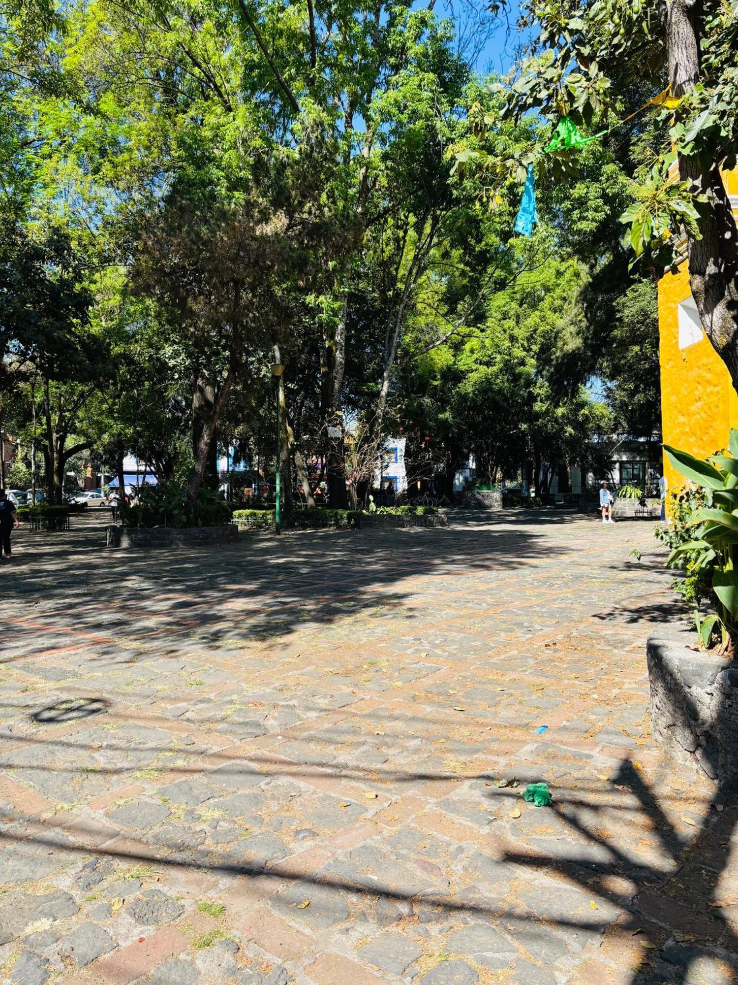 Villa Coyoacan México DF Exterior foto